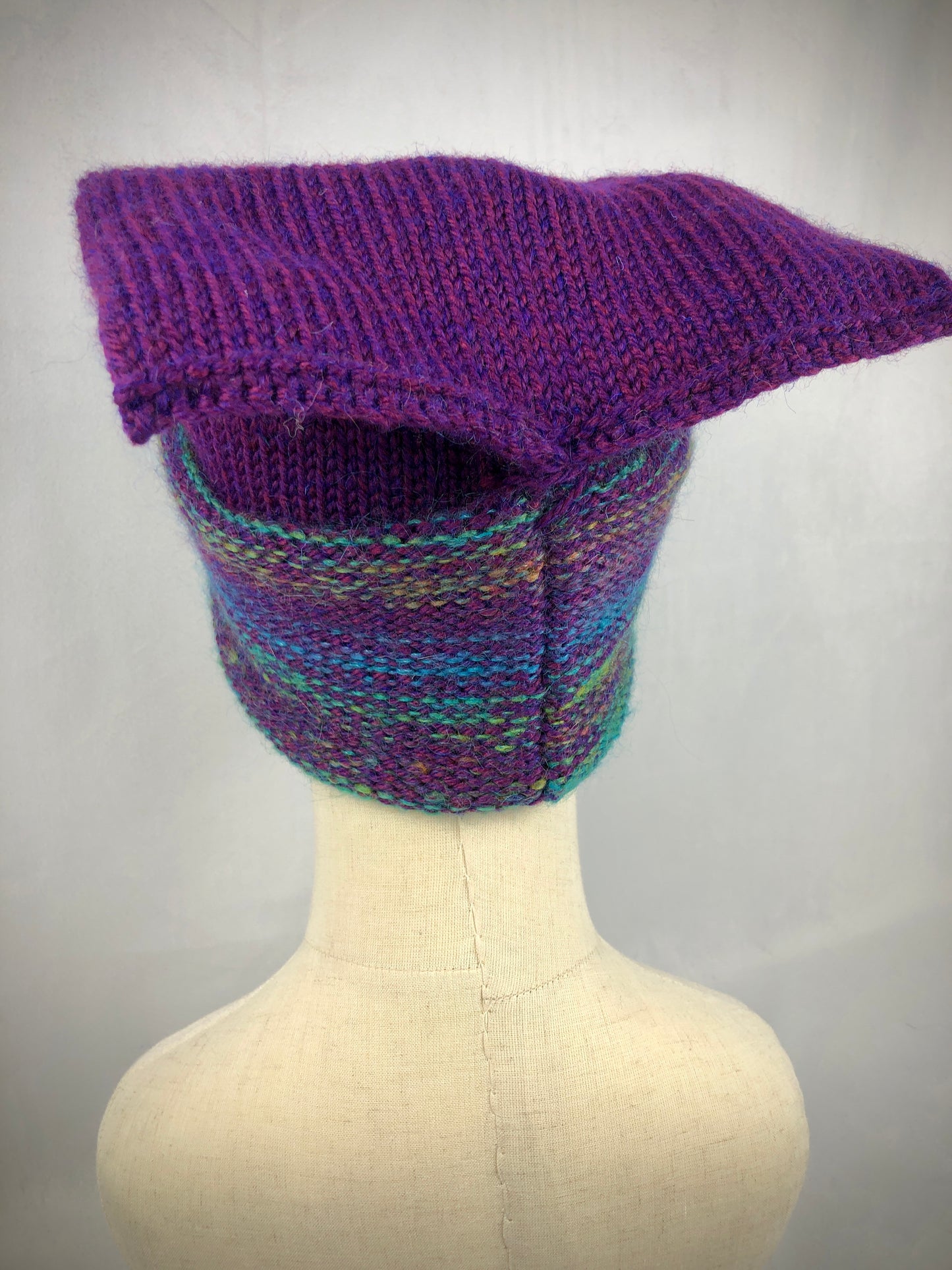 Purple rainbow bow cat hat