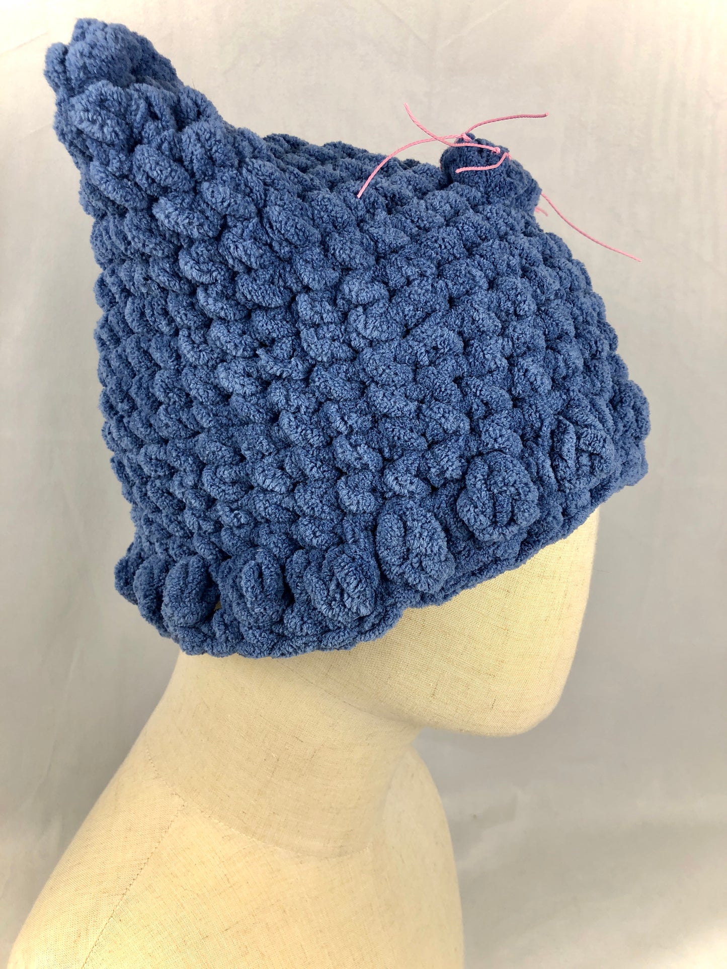 Blue cat beanie hat