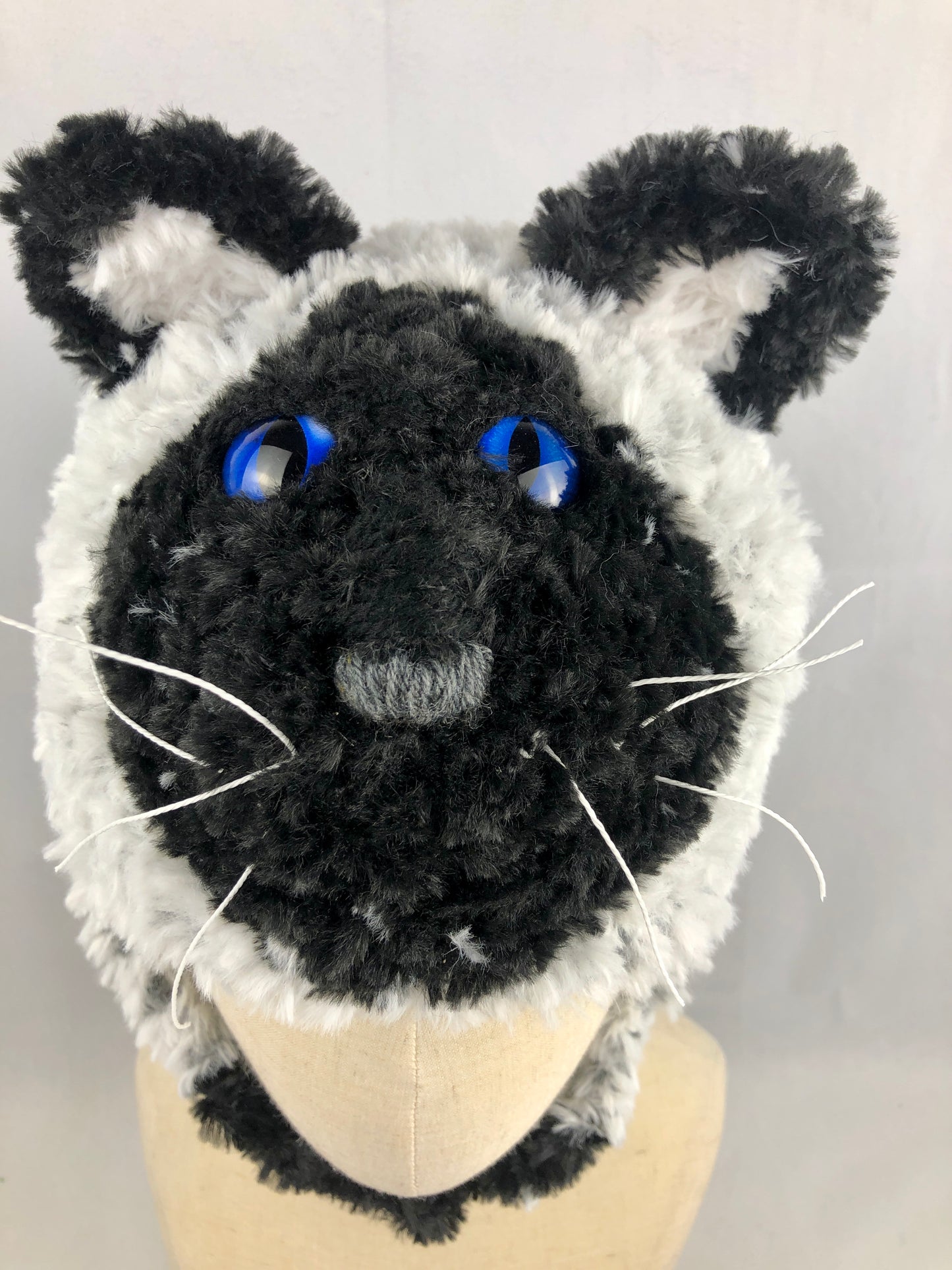 Siamese cat hat